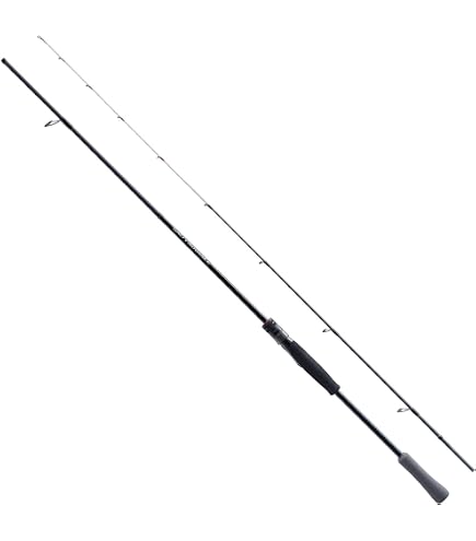 ダイワ ソルティスト BS66ML Amazon | シマノ(SHIMANO) 船竿 25ソルティーアドバンス オフショア